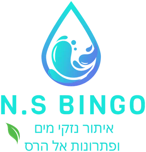 בינגו איתור נזקי מים ופרונות אל הרס